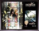 Final Fantasy VII 7 Advent Children - Tifa - Collectible Plaque Series w/ Card (#2)