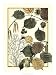Arts And Crafts Hazelnut by M. P. Verneuil. Size 14.10 inches width by 19.92 inches height. High Quality Art Poster Print