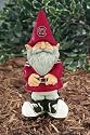 University of South Carolina Garden Gnome
