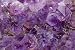 Wallmonkeys Peel and Stick Wall Decals - Amethyst Specimen - Removable Graphic
