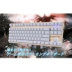 ARINOゲーミングキーボード/USB有線メカニカル ゲームキーボード+多色LEDバックライト 複数同時押し対応 英語87キー配列 ⻘軸 ゲームに最適【正規保証品】Windows 98/XP/2000/ME/VISTA/Win7/Win8/Mac /VISTAなど対応 REICATーK2(ホワイト)