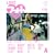 LOVE�t�H�g Vol.1 (���p�S��)