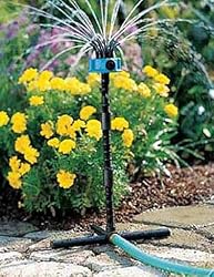 Noodlehead E311C Extend-A-Riser