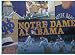 The Fighting Irish