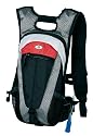 Swiss Gear SG25093 Alpen Ultralight 2L Hydration Pack (Black/Grey/Red/White)