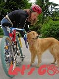Lets Go Pet Walker for Medium/ Large Dog, Dog Training Equipment for Bicycle. 4 Colors, Gold, Purple, Blue, Red. Color May Vary.