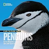 Face to face with penguins