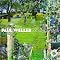 Best Of Paul Weller