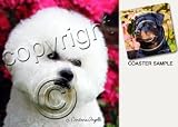 Bichon Frise Dog Drink Coasters