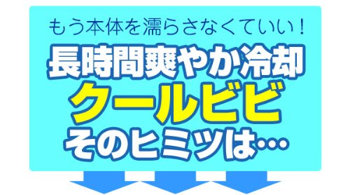 在庫限り【2008年版】クールビビ（COOL BiBi）CB-02 チェック　ホワイト