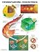 Understanding Cholesterol Anatomical Chart