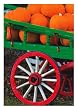 THANKSGIVING W/ WAGON OF PUMPKINS