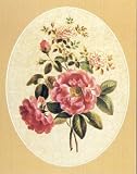 John Edwards (DeMeux and Damask Rose) Art Poster Print - 16