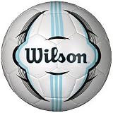 Wilson Dynasty Soccer Ball