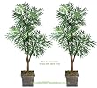 Two 6' Phoenix Tripled Artificial Trees Silk Plants