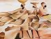 Migration poster print,28 in. x 22 in.