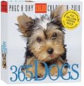 365 Dogs