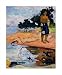 Haere Pape by Paul Gauguin poster print,20 in. x 24 in. Image