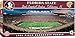 MasterPieces Collegiate Florida State Seminoles 1000 Piece Stadium Panoramic Jigsaw Puzzle