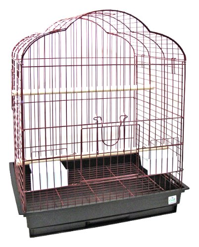 Blue Ribbon Scallop Roof Heavy Wire Bird Cage, 24-Inch by 18-Inch by 31-Inch, Black/Black