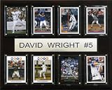 MLB David Wright New York Mets 8 Card Plaque