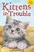 Kittens in Trouble