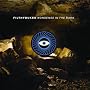 Nonsense In The Dark [Explicit]