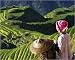 Zhuang Girl With Rice Terraces - Art Print Poster 12 x 11
