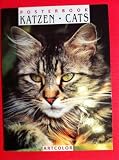 Produkt-Bild: Katzen. Posterbook
