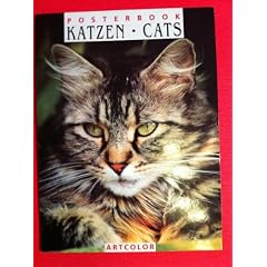 Katzen. Posterbook