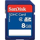 SanDisk 8 GB Class 2 SDHC Flash Memory Card SDSDB-8192-A11 (Retail Packaging)