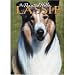 Search : Lassie - The Painted Hills
