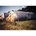 3mx30m (10x100) H/bale Tarp
