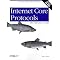 Suggested reading for those interested in network security