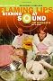 Staring At Sound: The True Story Of Oklahoma's Fabulous Flaming Lips