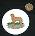 3" button / pin printed with tosa, inu, dog, canine