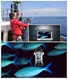 2015 Professional