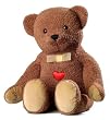 CPR Teddy Kit