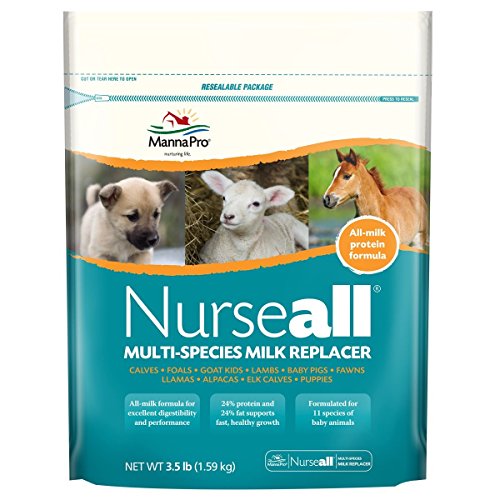 Top Best 5 kitten milk replacer for sale 2016 BOOMSbeat