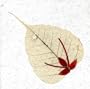 Greeting Card Note Card Pressed Flower on Peepal Leaf Handmade Paper Card Stock