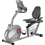 Schwinn 250 Recumbent