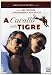 A Cavallo Della Tigre (2002)