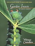 Garden Insects of North America: The Ultimate Guide to Backyard Bugs (Princeton Field Guides)