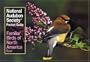 Familiar Birds of North America: Eastern Region (National Audubon Society Pocket Guides)