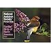 Familiar Birds of North America: Eastern Region (National Audubon Society Pocket Guides)