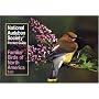 National Audubon Society Pocket Guide to Familiar Birds: Eastern Region: Eastern (The Audubon Society Pocket Guides)