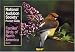 National Audubon Society Pocket Guide to Familiar Birds: Eastern Region: Eastern