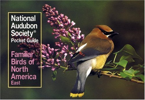 familiar birds of north america eastern region national audubon society pocket guides