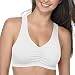 Hanes Sport Cotton Pullover 2 Pack (Size 40)
