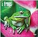 Frogs 2015 18 Month Calendar